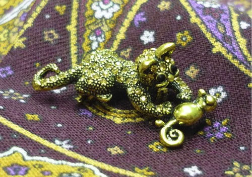 КОШКАА1.jpg