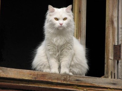 IMG_4056ум.jpg