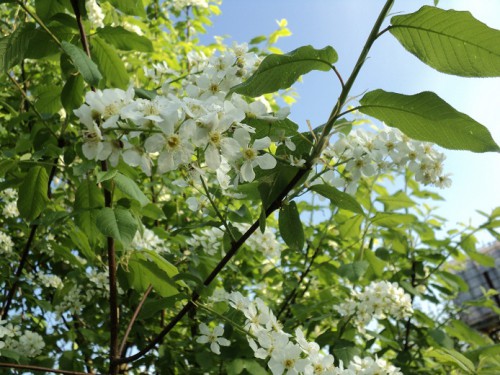 DSC00370.JPG
