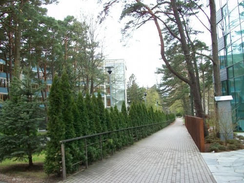 100_1905.JPG
