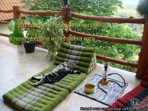 балкон.jpeg