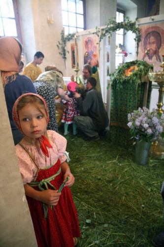 151-400x600.jpg