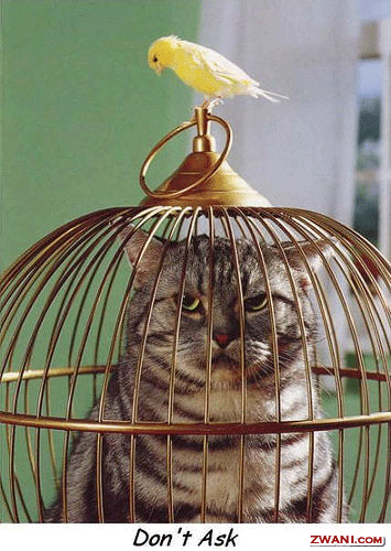 funny-pictures65.gif
