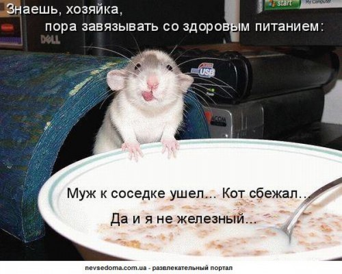kotomb03.jpg