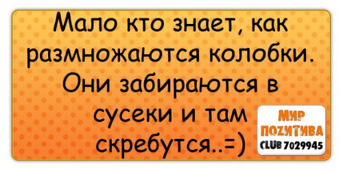 ebj7oQIzqw4.jpg