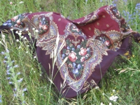 Феникс 17