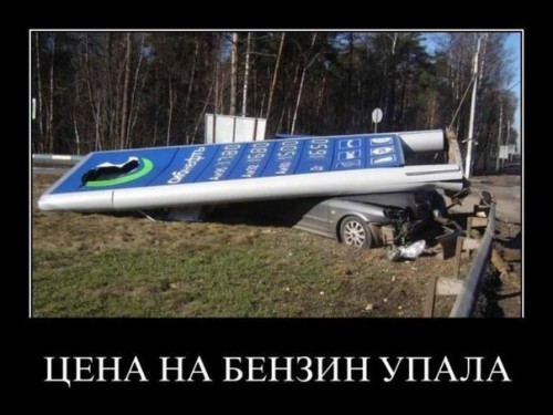 mLOaw77jOC4.jpg