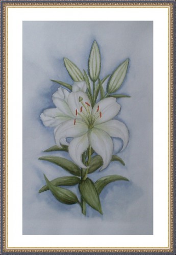 Белая лилия.