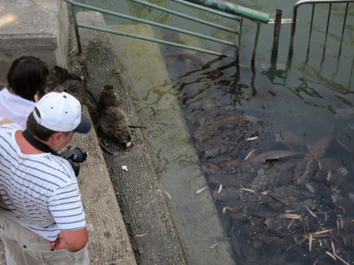 Jordan River4.jpg