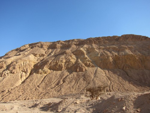 Negev Desert5.jpg