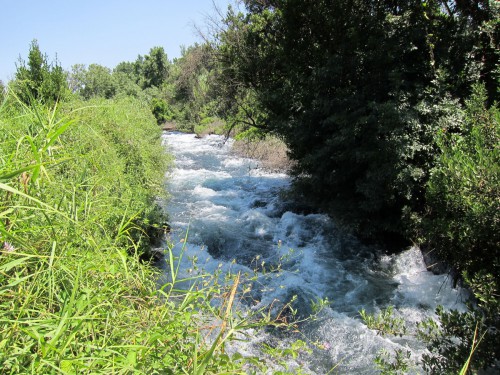 Dan National Park1.jpg