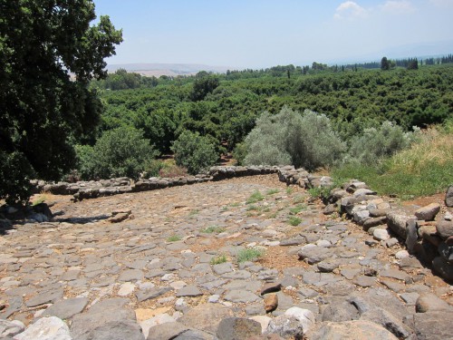 Dan National Park4.jpg