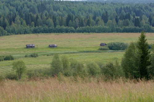 _05G3215.jpg