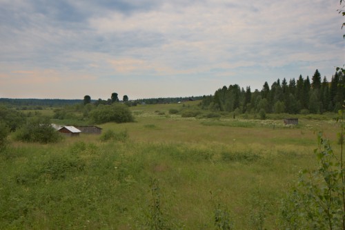 _05G3204.jpg
