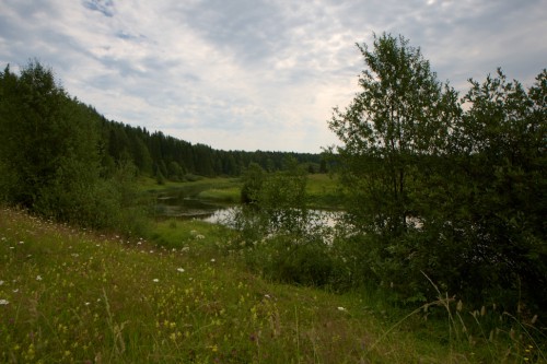 _05G3206.jpg