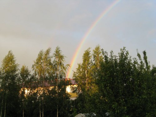 IMG_0803.jpg