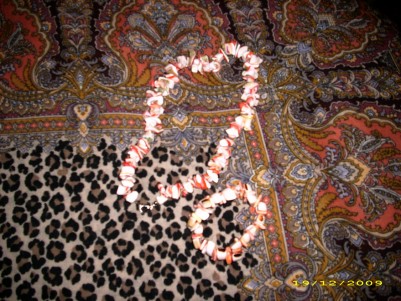 DSCI0744.jpg