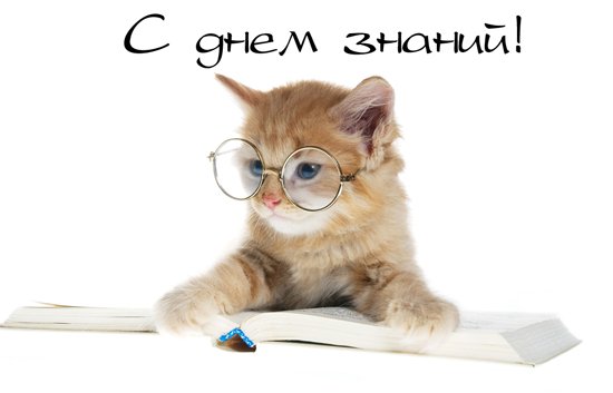1 сентября-к.jpg