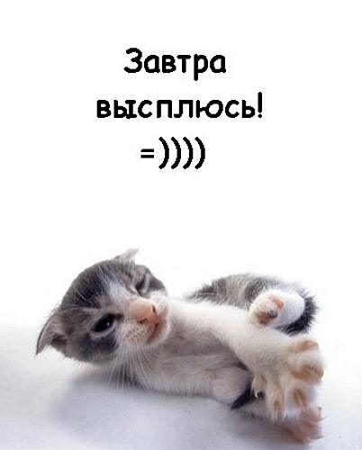 post-21-1274107986.jpg