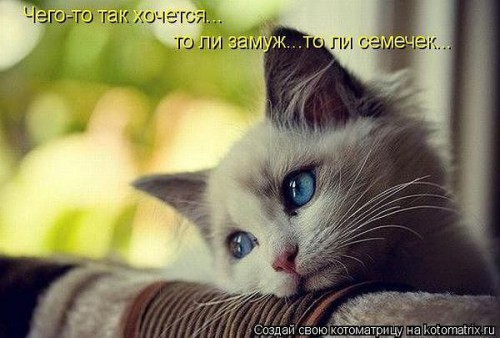getImage-чего-то хочется.jpg