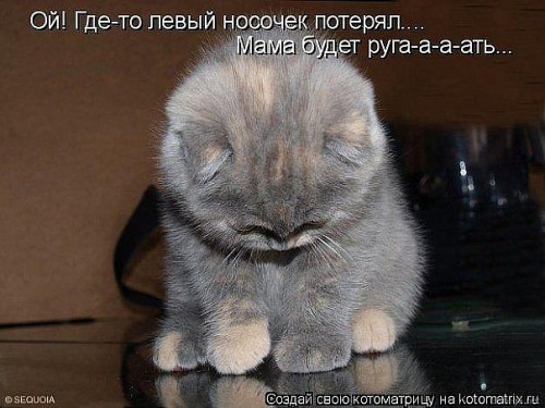-носочек.jpg