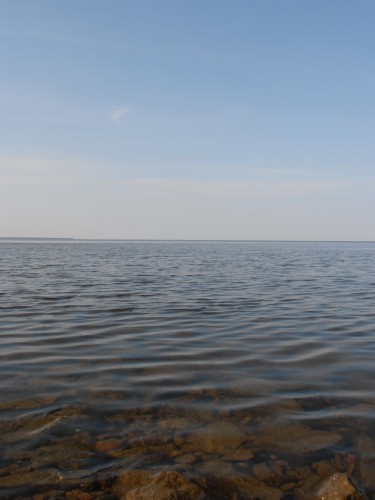 P1010277_новый размер.JPG