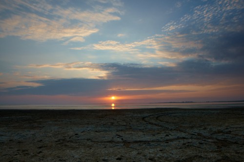 _05G3698.jpg
