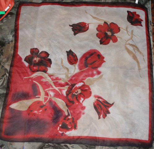 x_5300e224.jpg