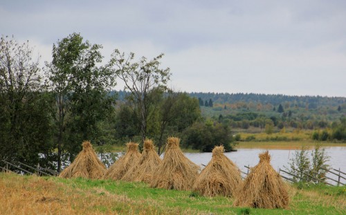 IMG_7802.JPG