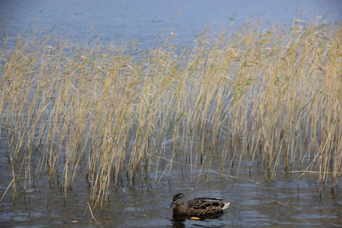 IMG_7688.JPG