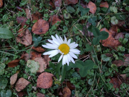 DSC01367.JPG