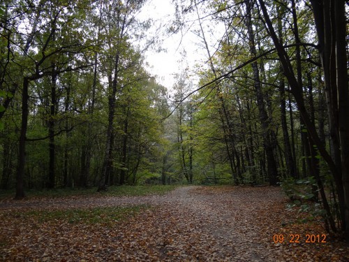DSC03038.JPG