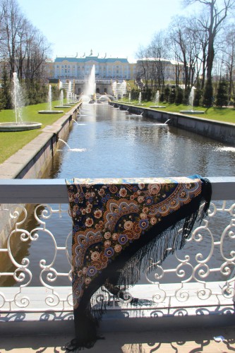 IMG_5410.JPG