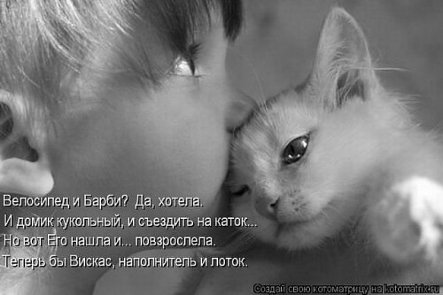 getImage- реб. и котик.jpg