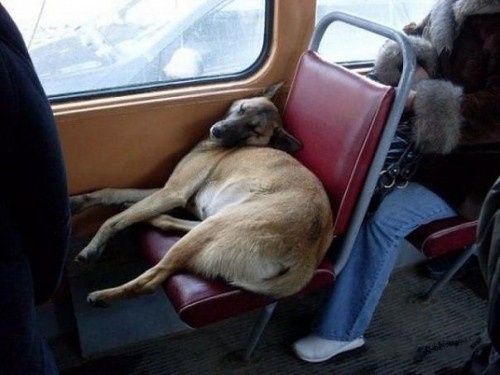 getImage - в автобусе.jpg