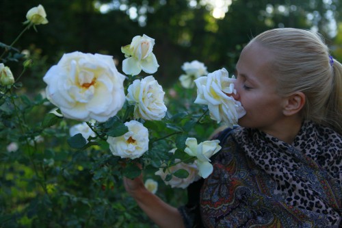 Киев 339_новый размер.JPG