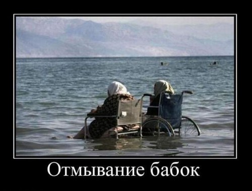 бабки.jpg
