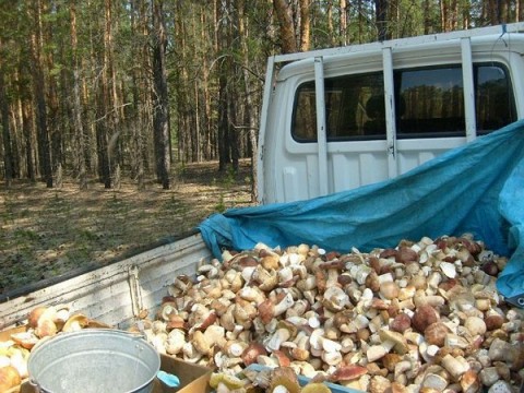 Повезло!