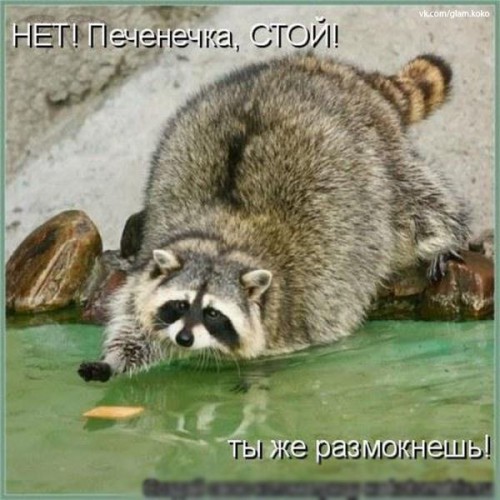 Wyrx3cZMofA.jpg