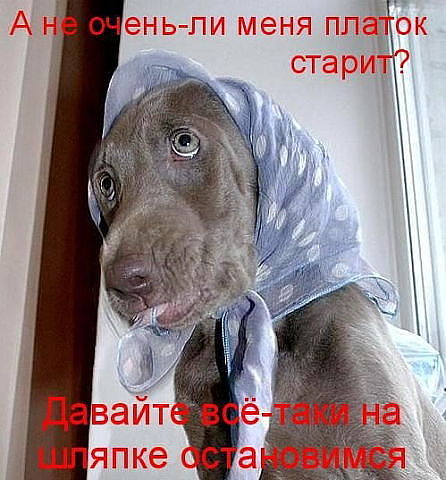 shlyapka.jpg