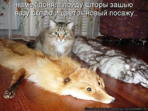 шкуры.jpg