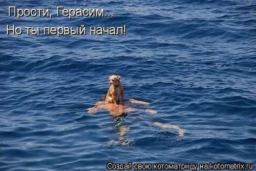 getImageCA1PO22R.jpg