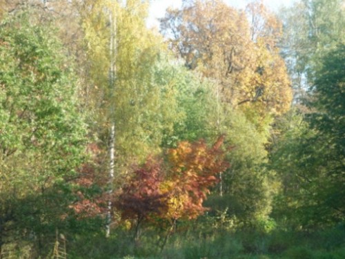 P1000797.JPG