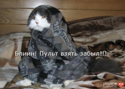 BpVJOYSNHLA.jpg