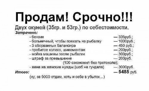 окуни.jpg