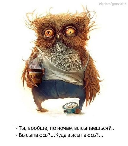 сова.jpg
