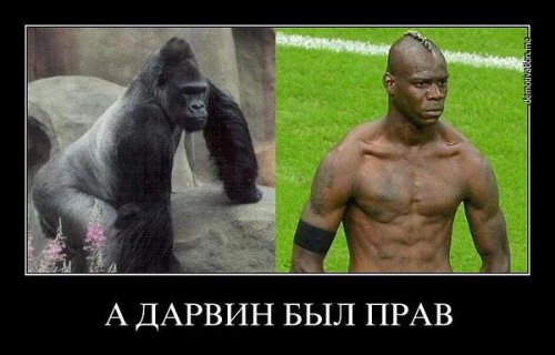 дарвин.jpg