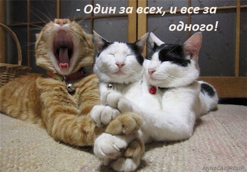 &quot;Один за всех, и все за одного!&quot;