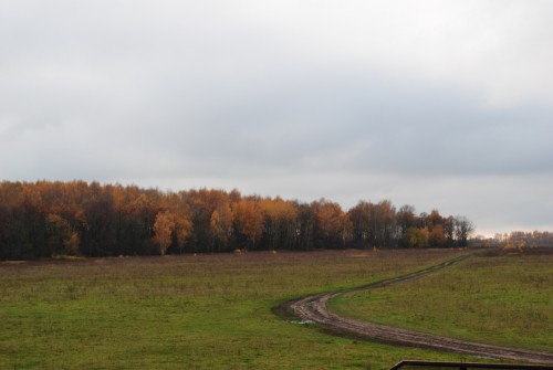 DSC_0171.jpg