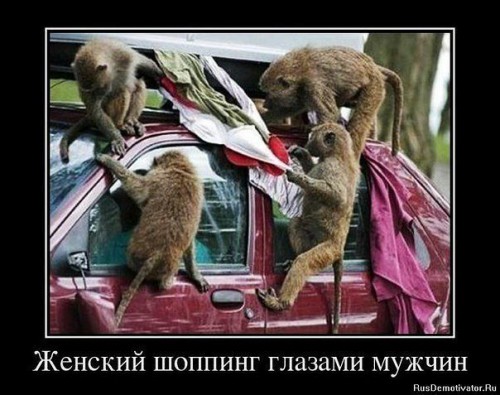 getImage-ЖЕНСКИЙ ШОПИНГ.jpg